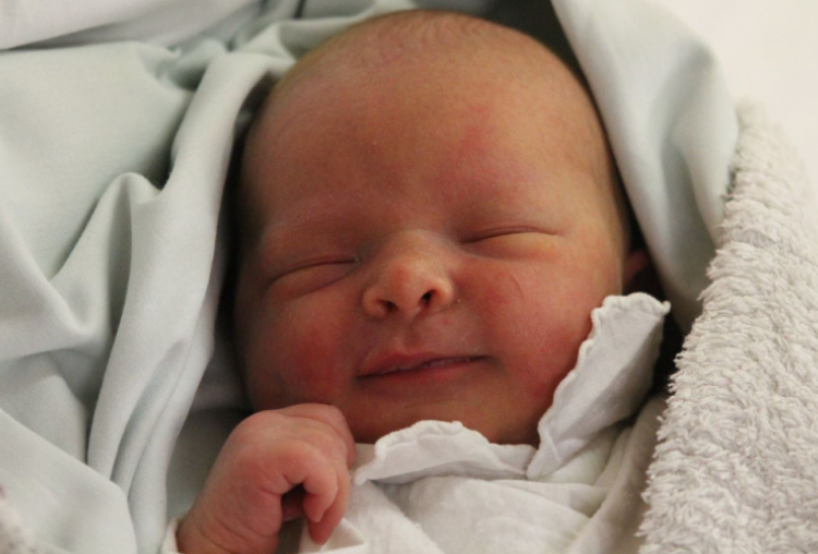 Brulich Hajnalka Nóra 