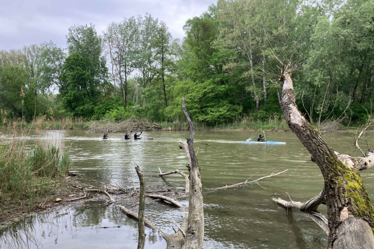 Háromszázan eveztek le a Mosoni-Dunán