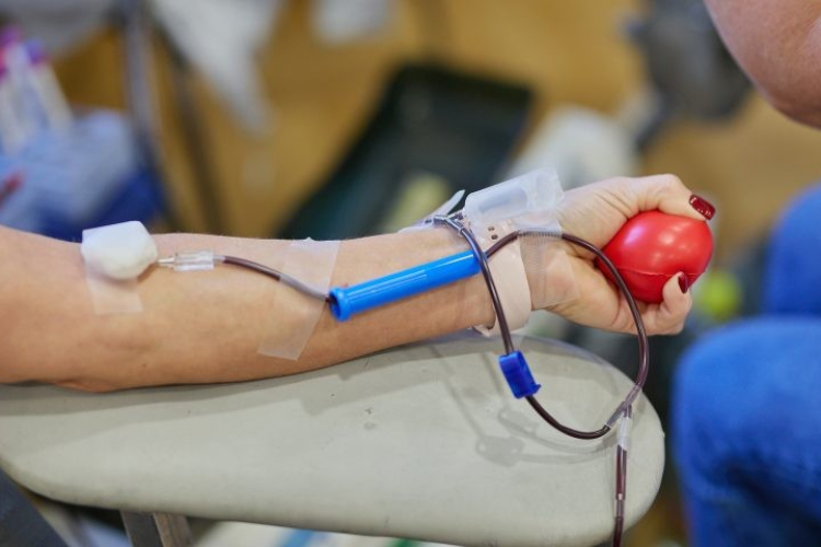 Kilencvenhatan adtak vért a Városházán