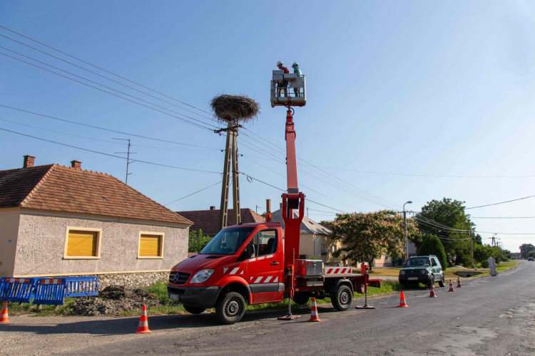 Bajba jutott gólyát mentettek Szanyban (VIDEÓ)