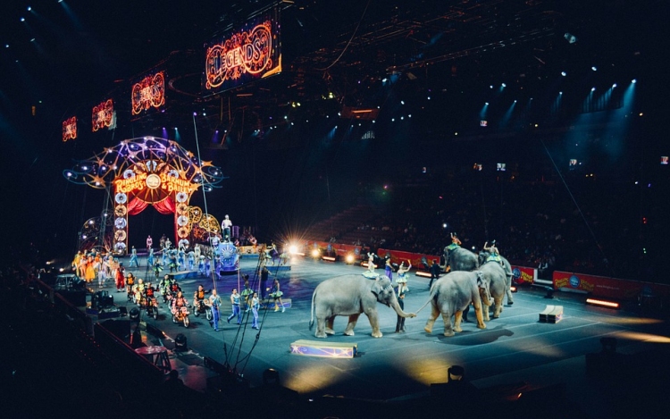 Kitiltották az állatidomár-számokat a romániai cirkuszokból