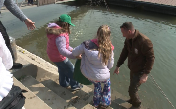Gyerekek telepítettek halakat a Mosoni-Dunába