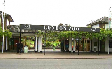 Tűz volt a londoni állatkertben, amely már ismét látogatható