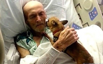 Egy végső stádiumban lévő rákbeteghez beengedték a kutyáját... Hihetetlen, ami ezután történt