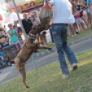 2013.06.23.Vasárnap SzFeszt 4.nap Fotók.árpika