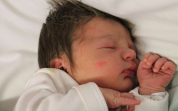 Horváth Milán Zalán