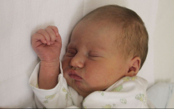 Tánczos Illangó Réka 