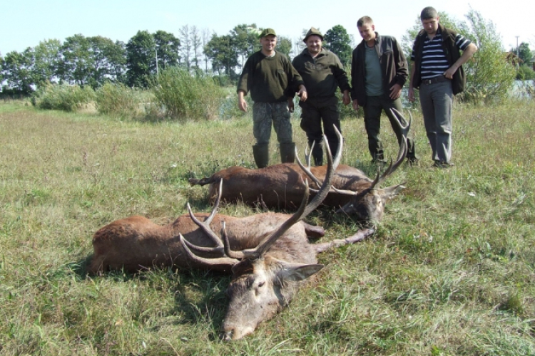 Félmilliárdot kap a vadászat