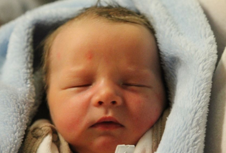 Hruskár Benedek József