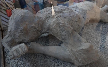 Egy 39 évvel ezelőtt, a Vezúv kitörése elől menekülő kisfiú csontvázára bukkantak 
