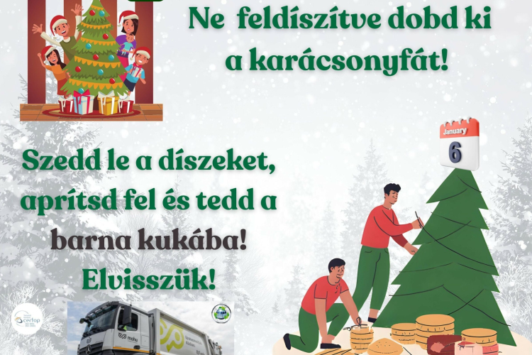 Hova teheti a karácsonyfát, ha már nincs szüksége rá?