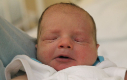 Dobrádi Tamás Márk