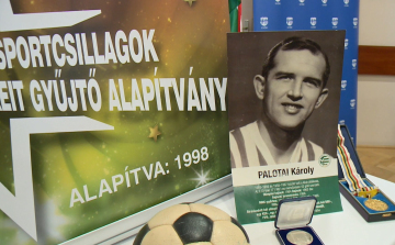 Emlékoszlopot állítanak Palotai Károly tiszteletére Győrben