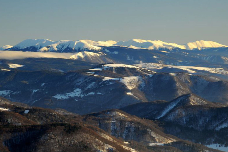 50 métert zuhant egy nyugdíjas