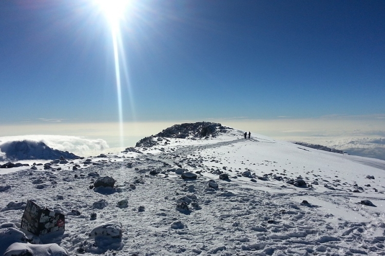 Magyar tüdőtranszplantáltak is megmászták a Kilimandzsárót