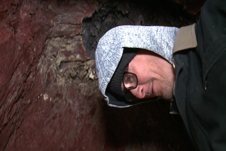 Budapest szívében, egy fatörzsben él a hajléktalan