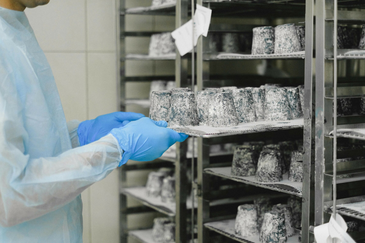 Tejterméket kínáló részlegeket ellenőrzött a Nébih, vegyes lett a kép