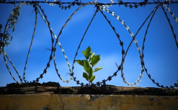 Börtönszigetet alakítanak környezetvédelmi központtá