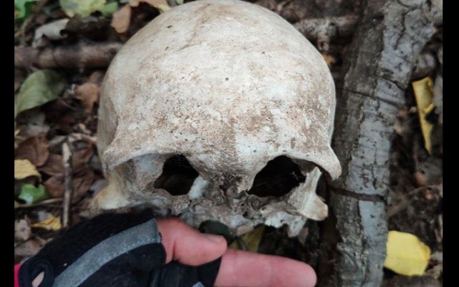 Emberi koponyát talált biciklizés közben a magyar színész