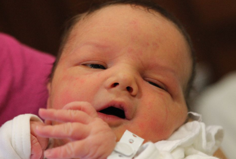 Gyenge Nimród Koppány 