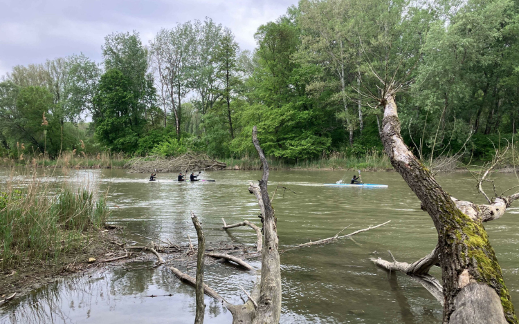 Háromszázan eveztek le a Mosoni-Dunán