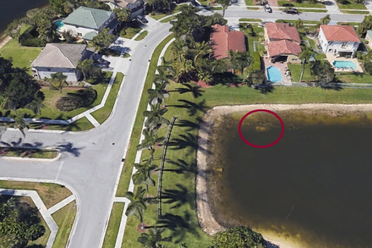 Huszonkét év után,  Google Mapsen találták meg egy floridai férfi holttestét