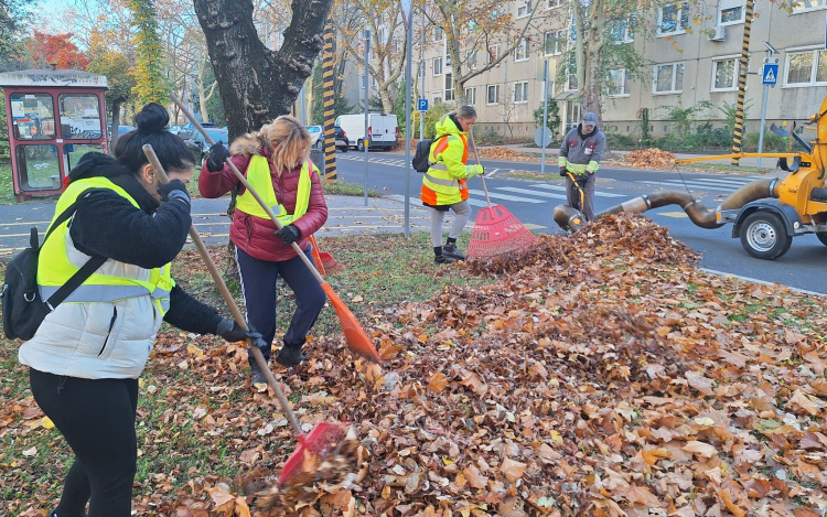 Gyűjti a lombot a Győr-Szol
