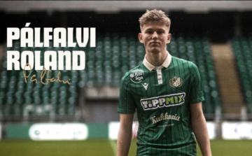 Pálfalvi Roland profi szerződést kapott