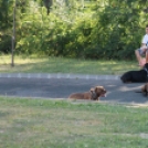 2013.06.23.Vasárnap SzFeszt 4.nap Fotók.árpika