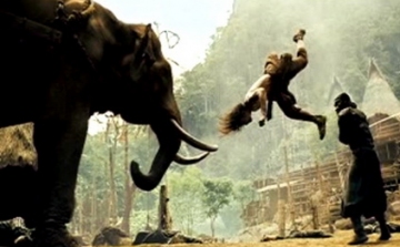 Megölte gondozóját egy akciófilmekben is szereplő elefánt egy thai állatkertben