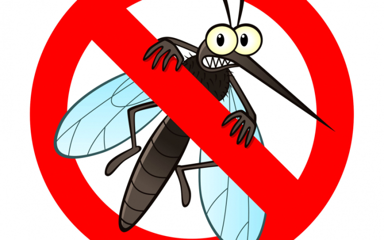 OKF: hét régióban folytatódik a szúnyogirtás