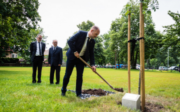 Emlékfát ültettek a győri jogászképzés alapító személyiségének tiszteletére a Széchenyi István Egyetem jogi karának udvarán. 