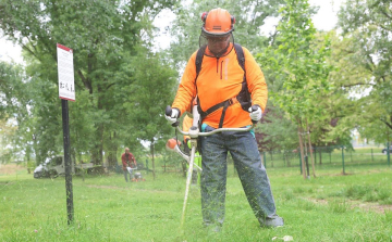 A Fidesz frakció akcióval hívta fel a figyelmet a magas fűre