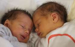 Marton Sára és Marton Zsófia 