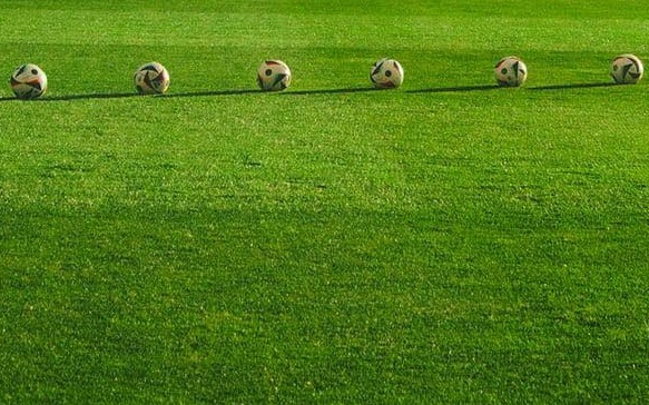 Gyepcserére lesz szükség a stadionban