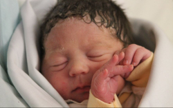 Bognár Dorka Csenge 