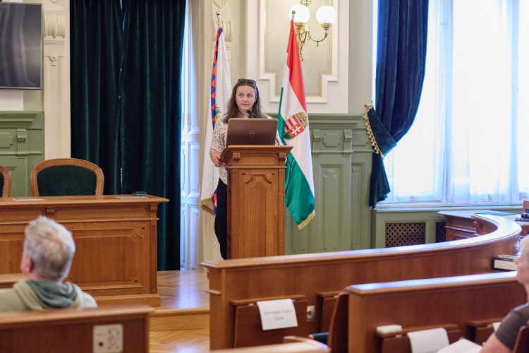 Megőrzik a Bisinger sétány történeti karakterét, ígérik