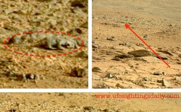 Gyíkot találtak egy Marsról készült felvételen 