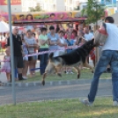 2013.06.23.Vasárnap SzFeszt 4.nap Fotók.árpika