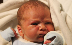 Szűcs Zsombor Zoárd 