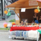 2013.06.22 Szombat SzFeszt 3.nap Fotók:árpika