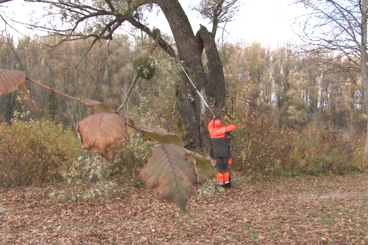 Békeidőben készülnek fel a bajra