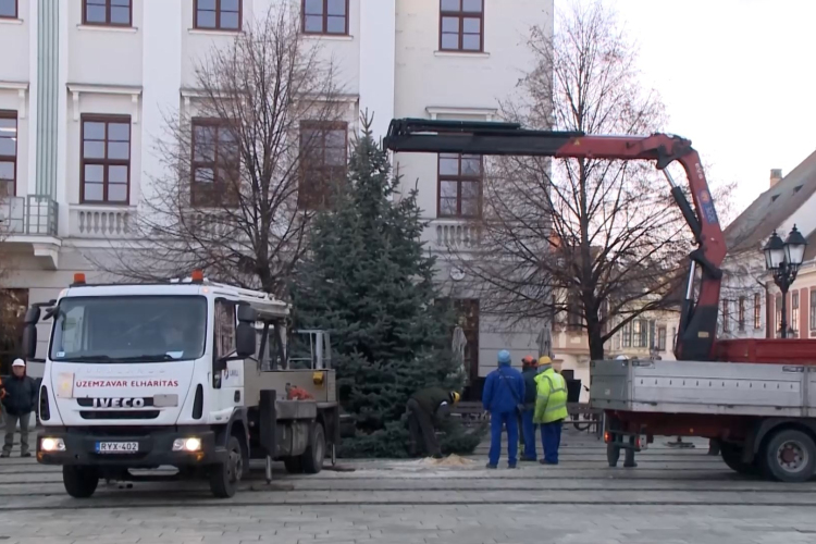 Ezüstfenyő érkezett a győri Széchenyi térre