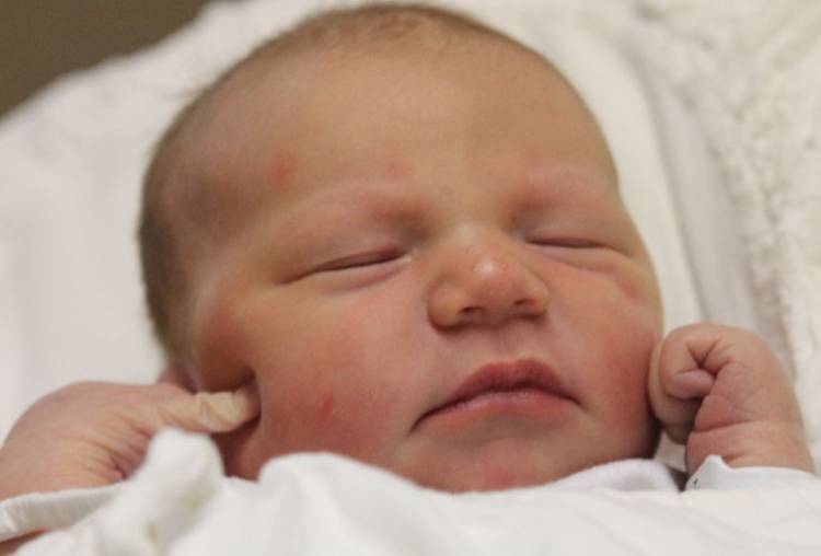 Horváth Alexa Gréta 