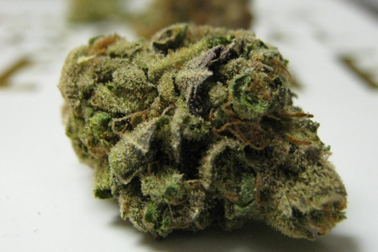 Nálatok mennyibe adják a füvet?