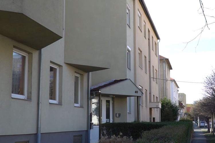 Albérlet, te drága