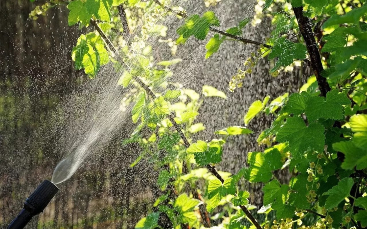 Éjszaka mossák a fákat, lehet, hogy egy kis zajjal jár