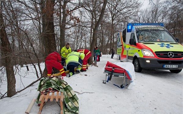 Szánkóbaleset a budai hegyekben