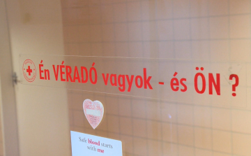 Médiavéradás Győrben: nagy szükség van a segítségre