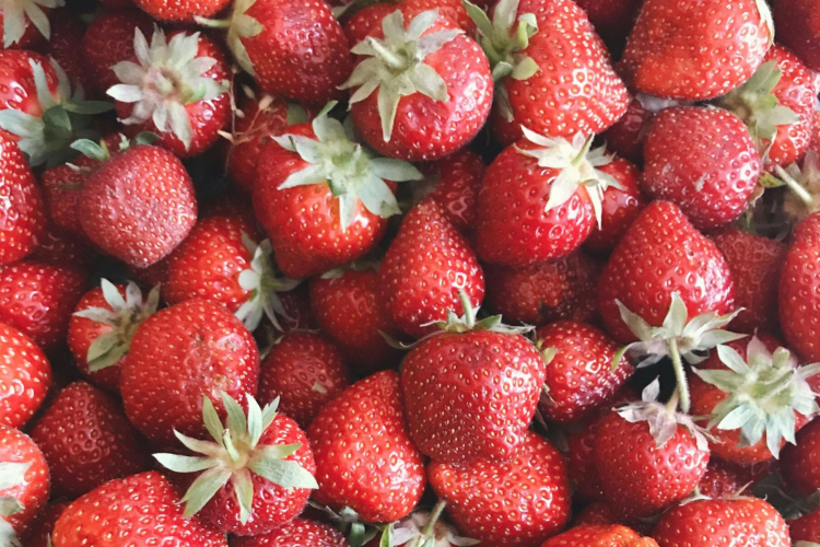 A hűvös május miatt elhúzódik az idei szamócaszüret